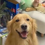 玉兔捣胖鹅的个人资料头像