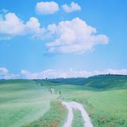 张锦亮的个人资料头像