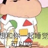 暖树宇头像