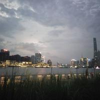 剑胆琴心23头像