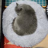 用户6127406641568头像