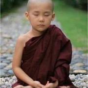 Halle的个人资料头像