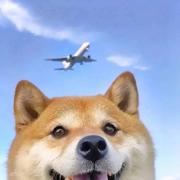 请等我一下的个人资料头像