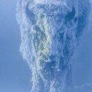 一意孤行丿的个人资料头像