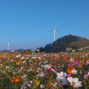 魔法面条9头像