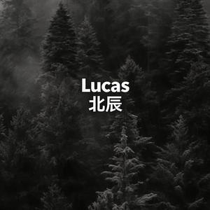 Lucas北辰头像