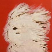 山丘1355的个人资料头像