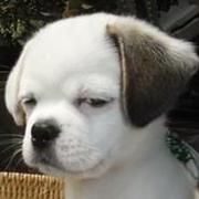 湖边小船的个人资料头像