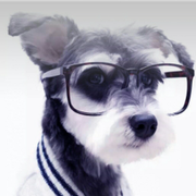 抬头别怂的个人资料头像