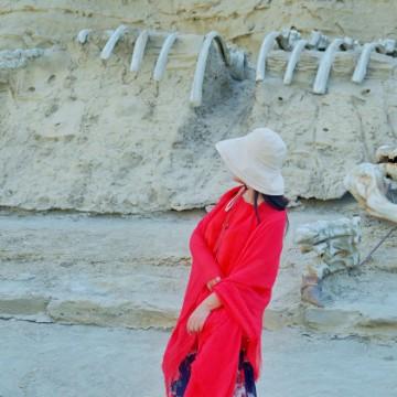 小渔的行旅日记头像