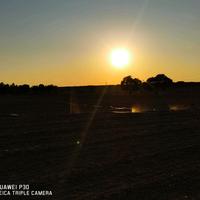 廉萧督半香头像