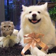 Michael625的个人资料头像