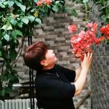 太阳升起478头像