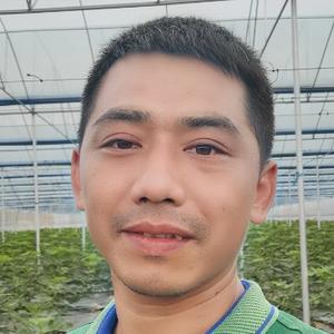广东彩毅农业头像