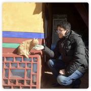 不知处的个人资料头像