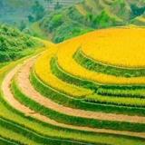 迠头像