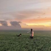 用尽一生来学习的个人资料头像