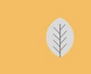 坤坤二十贰号的个人资料头像