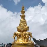 碎石成土头像