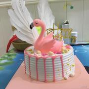 AndroidCoder的个人资料头像