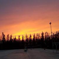 骑驴找本本头像