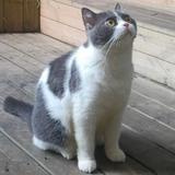 踏板不搭龟头像