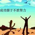 gemcn头像