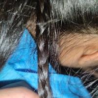 中国靓仔代表头像