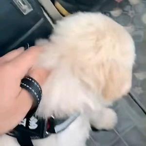 小利瞎看看头像