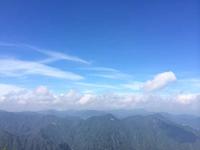 元气风筝V44头像