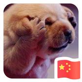 迷茫23288头像