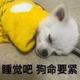 买个手扶拖拉机头像