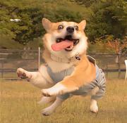 comecny的个人资料头像