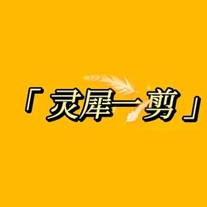 灵犀公羽头像