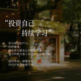 风者贤头像