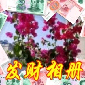 细心戴利5j头像