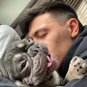 Licha的个人资料头像