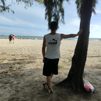 黄杨盆景缘头像