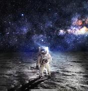 广州树人彰的个人资料头像