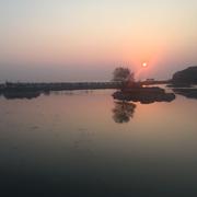 漫山遍野的个人资料头像