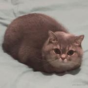 Erie的个人资料头像