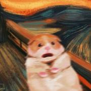 受不了瘦不了了的个人资料头像