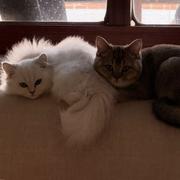 皮皮杰的学习日记的个人资料头像