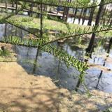 秀逗的秀627头像