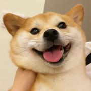 黑衣悠的个人资料头像