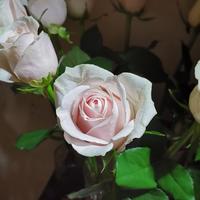 克里斯琴7k9头像