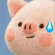 樱谷凪咲901的个人资料头像