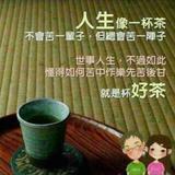 浅唱8夏伤头像
