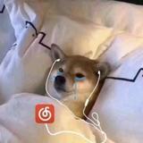 大大大大大包孑头像