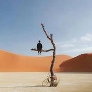 用户7272521421417的个人资料头像